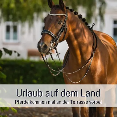 Ramoshansenhof Nordlicht 6 Personen Hund Inklusiv
