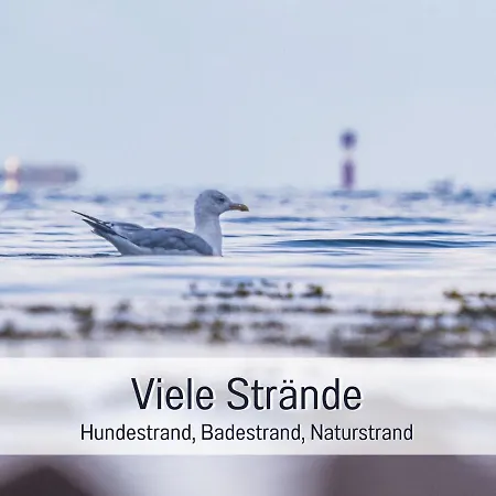 Apartment Ramoshansenhof Nordlicht 6 Personen Hund Inklusiv