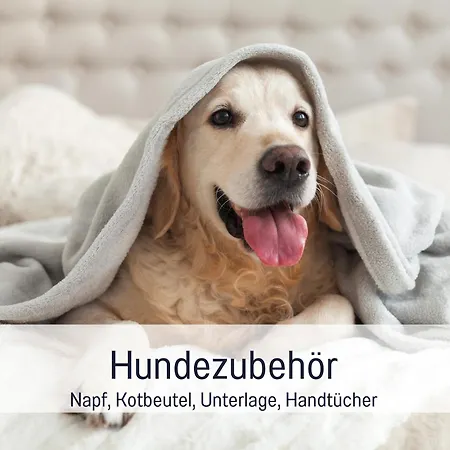 Ramoshansenhof Nordlicht 6 Personen Hund Inklusiv Apartment *