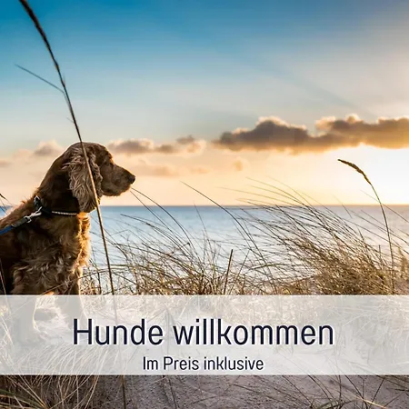 Ramoshansenhof Nordlicht 6 Personen Hund Inklusiv Lejlighed Steinberg (Schleswig-Holstein)